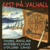 Övriga - Fest på Valhall (2003) framsida